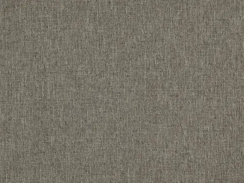 Alendel Jones drapery fabric swatch in Rattan (2018)