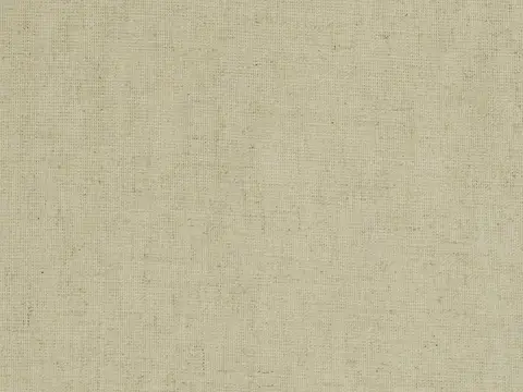 Alendel Karma drapery fabric swatch in Canvas (234)