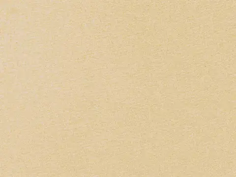 Alendel Kidman sheer fabric swatch in Natural (378)