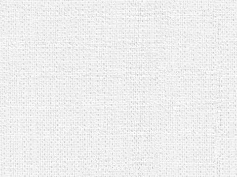 Alendel Leonardo sheer fabric swatch in Snow (0143)