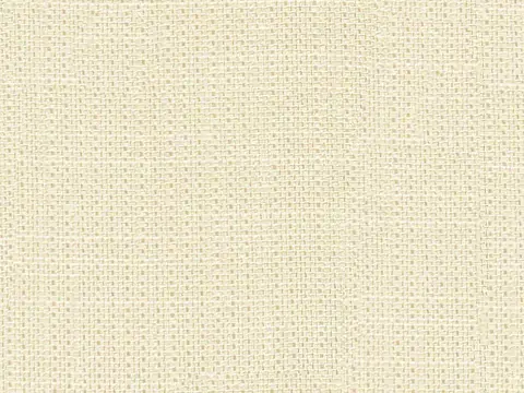 Alendel Leonardo sheer fabric swatch in Cream (0252)