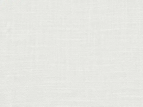 Alendel Lorenzo sheer fabric swatch in Snow (0143)