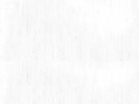 Alendel Lunenburg 145" sheer fabric swatch in White (100)