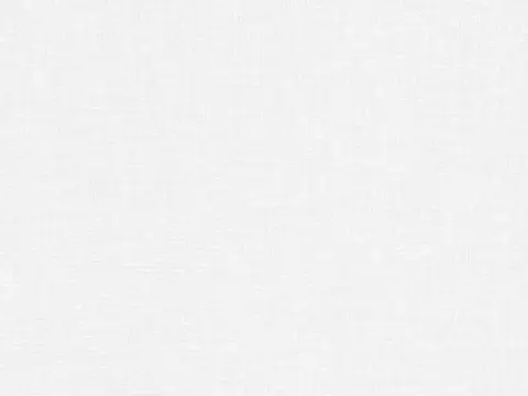 Alendel Madrid sheer fabric swatch in White (100)