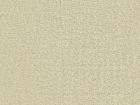 Alendel Masaccio sheer fabric swatch in Almond (0206)