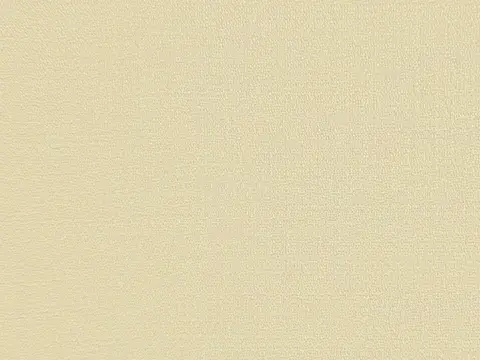 Alendel Masaccio sheer fabric swatch in Canvas (0234)