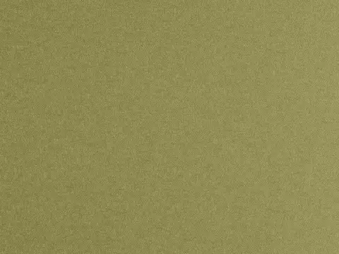 Alendel Mermaid drapery fabric swatch in Avocado (907)