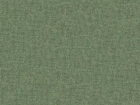 Alendel Meteor drapery fabric swatch in Kale (0949)