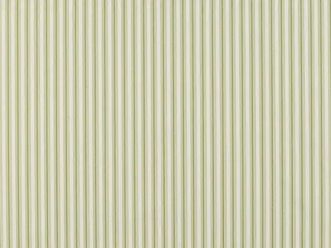 Alendel Mitchell drapery fabric swatch in Avocado (0907)