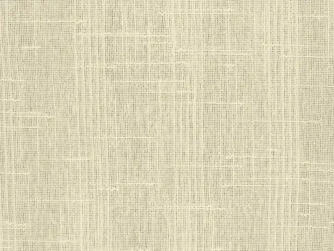 Alendel Monza sheer fabric swatch in Natural (378)