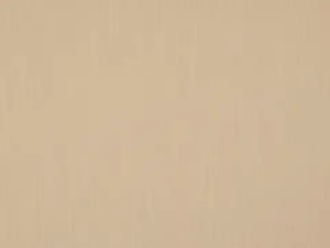 Alendel Origin drapery fabric swatch in Rice (2019)