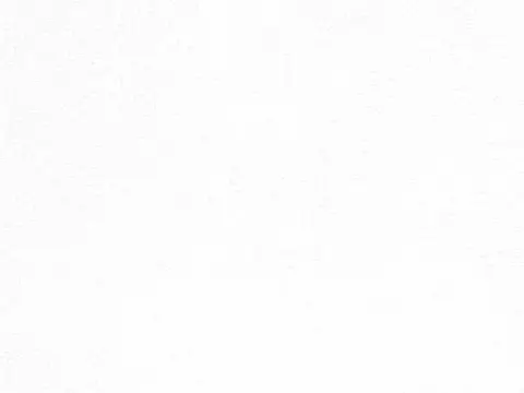 Alendel Palace Plain sheer fabric swatch in White (100)
