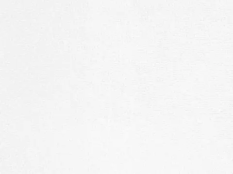 Alendel Palace Plain sheer fabric swatch in Winter White (101)