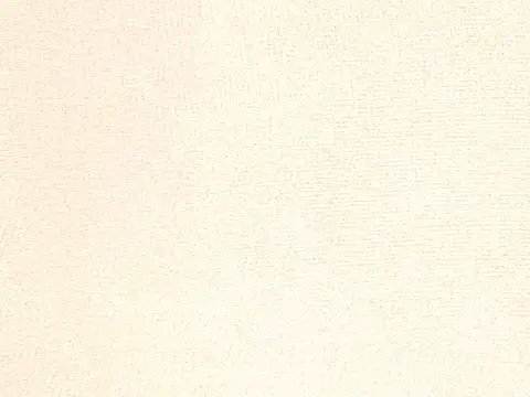 Alendel Palace Plain sheer fabric swatch in Champagne (203)