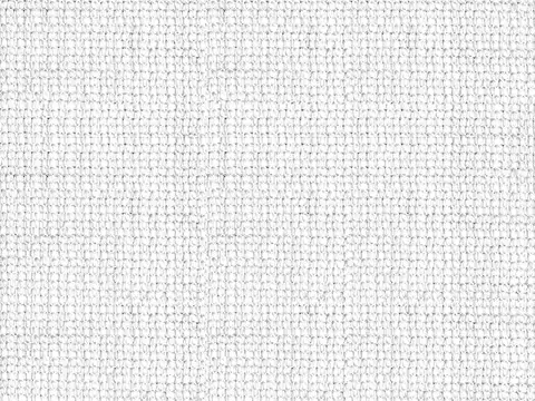 Alendel Palazzo sheer fabric swatch in Avalanche (0106)