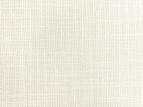 Alendel Piano sheer fabric swatch in Frost (0116)