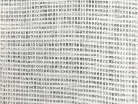 Alendel Pienza sheer fabric swatch in Cream (0252)