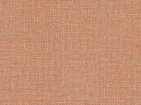 Alendel Pillar sheer fabric swatch in Salmon (0684)