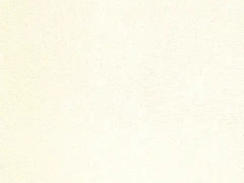 Alendel Pluto sheer fabric swatch in Ivory (103)