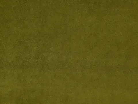 Alendel Prima drapery fabric swatch in Moss (0963)