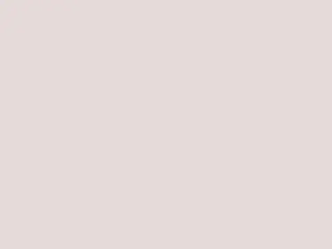 Alendel Realm 145" sheer fabric swatch in Auburn (0304)