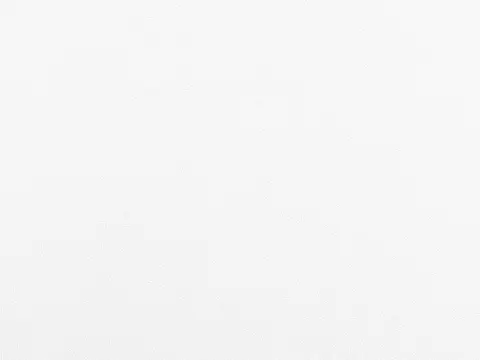 Alendel Reef sheer fabric swatch in White (100)