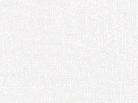 Alendel Rhea sheer fabric swatch in Blanc (0108)