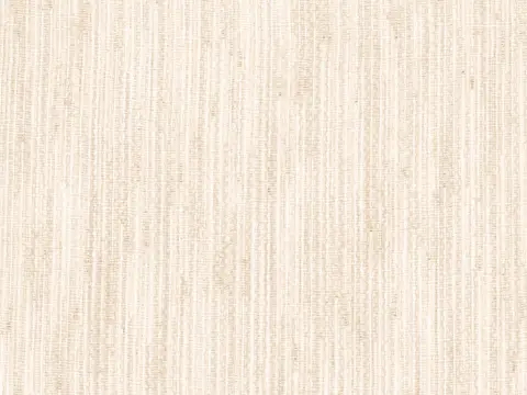 Alendel Rideau 145" sheer fabric swatch in Ivory (0103)