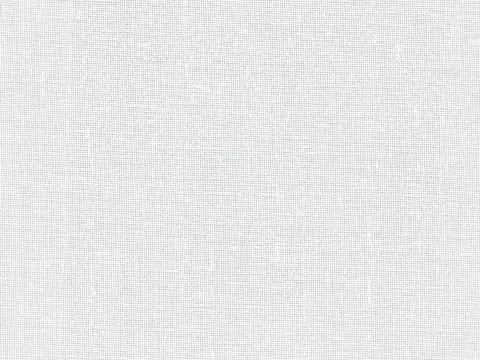 Alendel Rona sheer fabric swatch in White (0100)