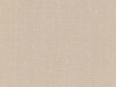 Alendel Rona sheer fabric swatch in Putty (2014)