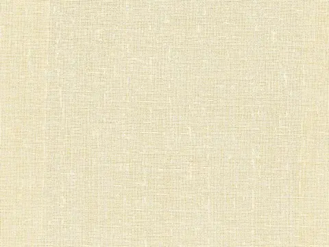 Alendel Rona sheer fabric swatch in Light Taupe (202)