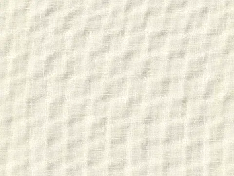Alendel Rona sheer fabric swatch in Champagne (203)