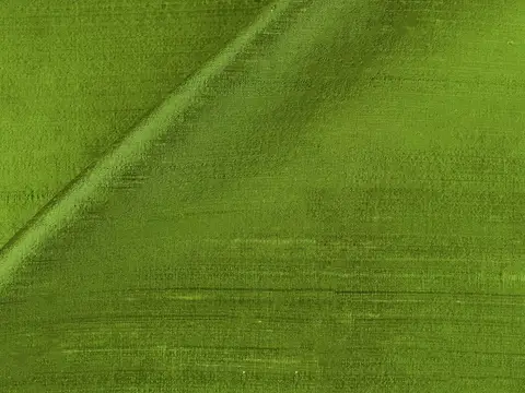 Alendel Shalimar drapery fabric swatch in Envy (9004)