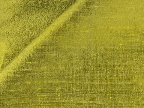 Alendel Shalimar drapery fabric swatch in Vivid Avocado (9055)