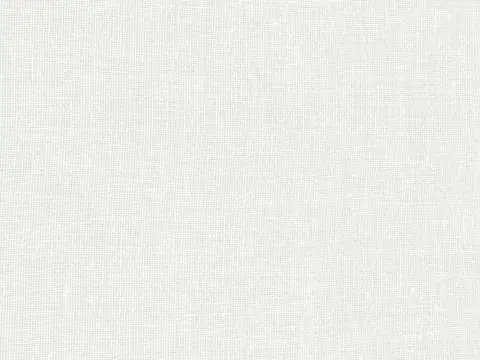 Alendel Shannon sheer fabric swatch in White (0100)