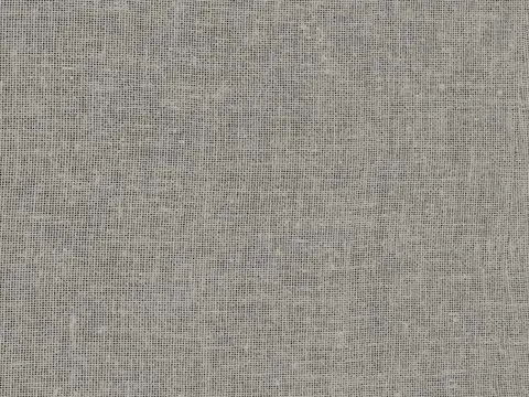 Alendel Shannon sheer fabric swatch in Chrome (0421)