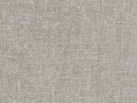 Alendel Shannon sheer fabric swatch in Fog (0440)