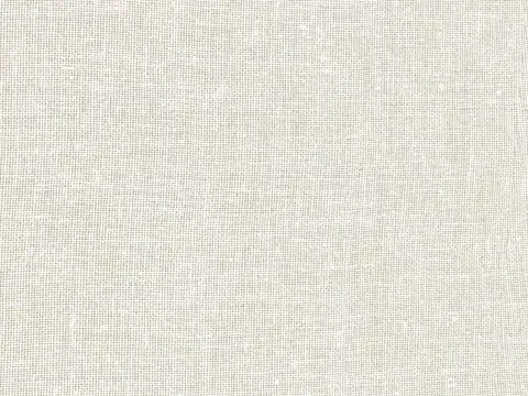 Alendel Shannon sheer fabric swatch in Natural (378)