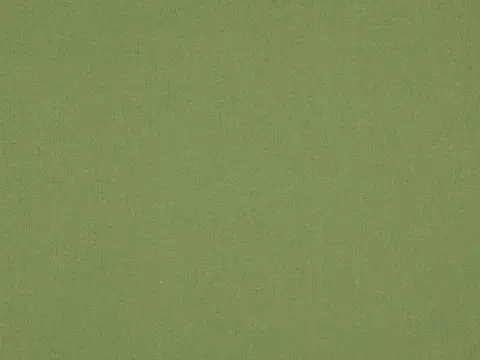 Alendel Soho drapery fabric swatch in Wasabi (9057)