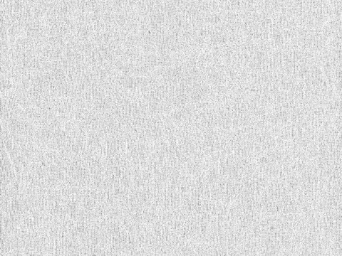 Alendel Spirit sheer fabric swatch in Silver (4067)
