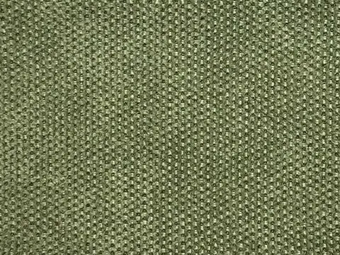 Alendel Star drapery fabric swatch in Grass (0937)