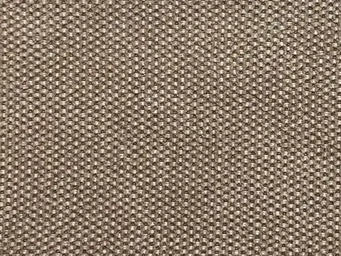 Alendel Star drapery fabric swatch in Oat (2001)