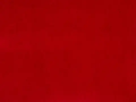 Alendel Style drapery fabric swatch in Poppy (0632)