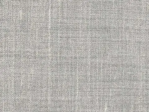 Alendel Suave sheer fabric swatch in Chrome (0421)