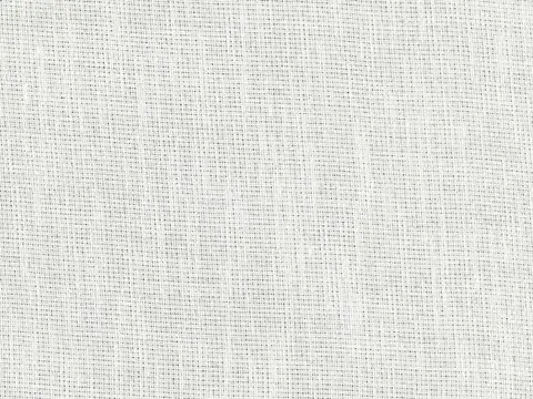 Alendel Sublime sheer fabric swatch in White (0100)