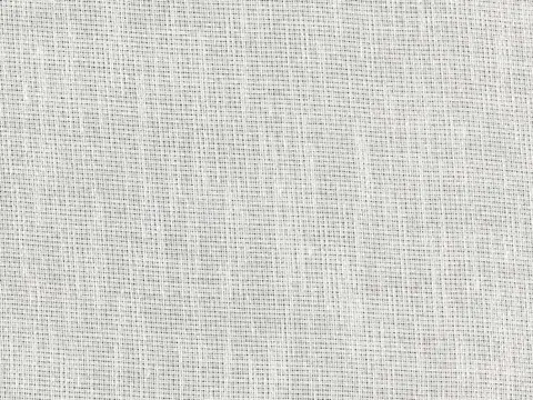 Alendel Sublime sheer fabric swatch in Silver (4067)