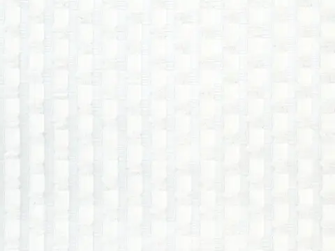 Alendel Tassels sheer fabric swatch in White (100)