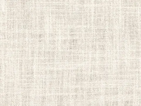 Alendel Toronto drapery fabric swatch in Champagne (0203)