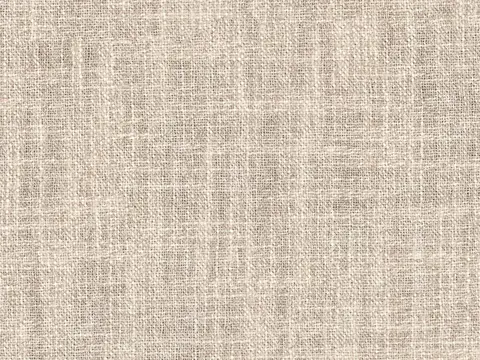 Alendel Toronto drapery fabric swatch in Bone (0222)