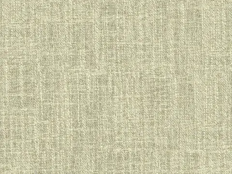 Alendel Toronto drapery fabric swatch in Celery (0912)